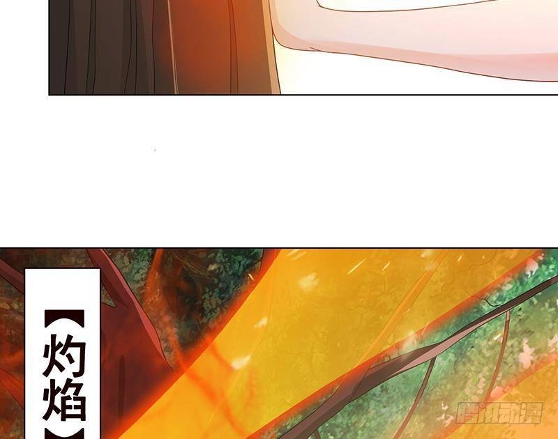 第244话 冷长青的秘密19