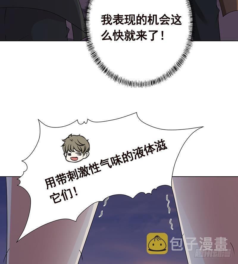 第253话 你是猪吗17