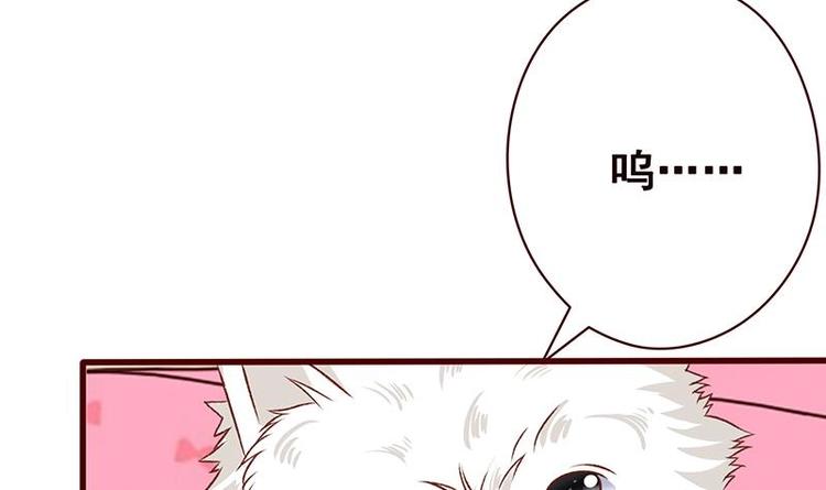 第4话 秘境仙府21