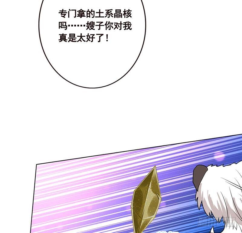 第105话 晶核之谜14