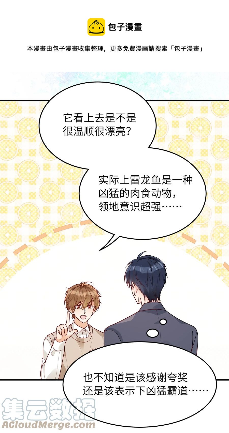 043 下次送你24