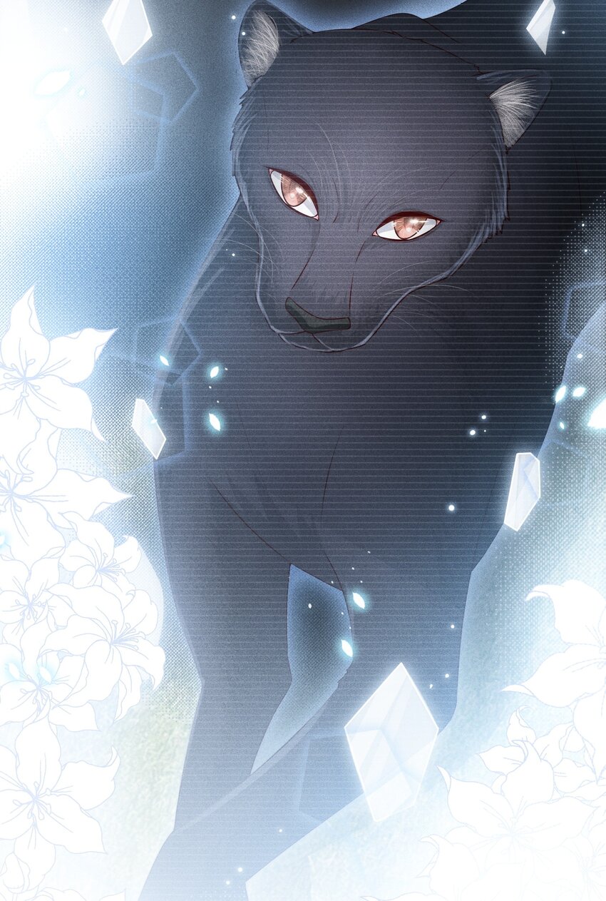 022 着迷18