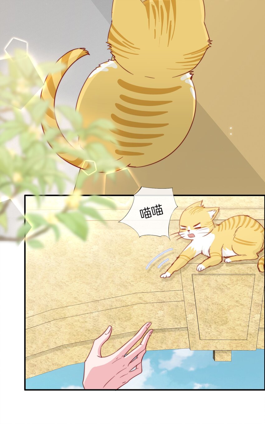 054 又是安宁？14