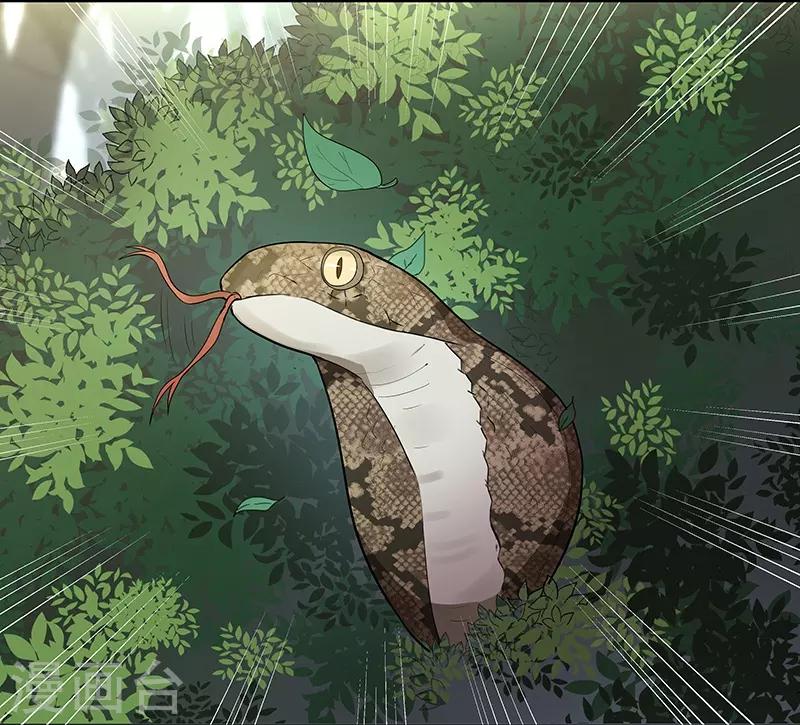 第1话 我不是故意看到的！22