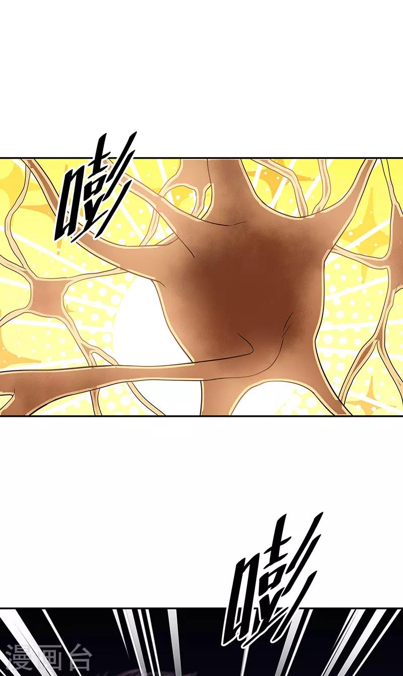 第115话 轩辕气术，第一层！2