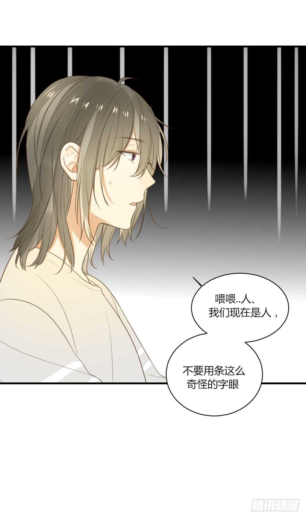 其他两对在哪里6