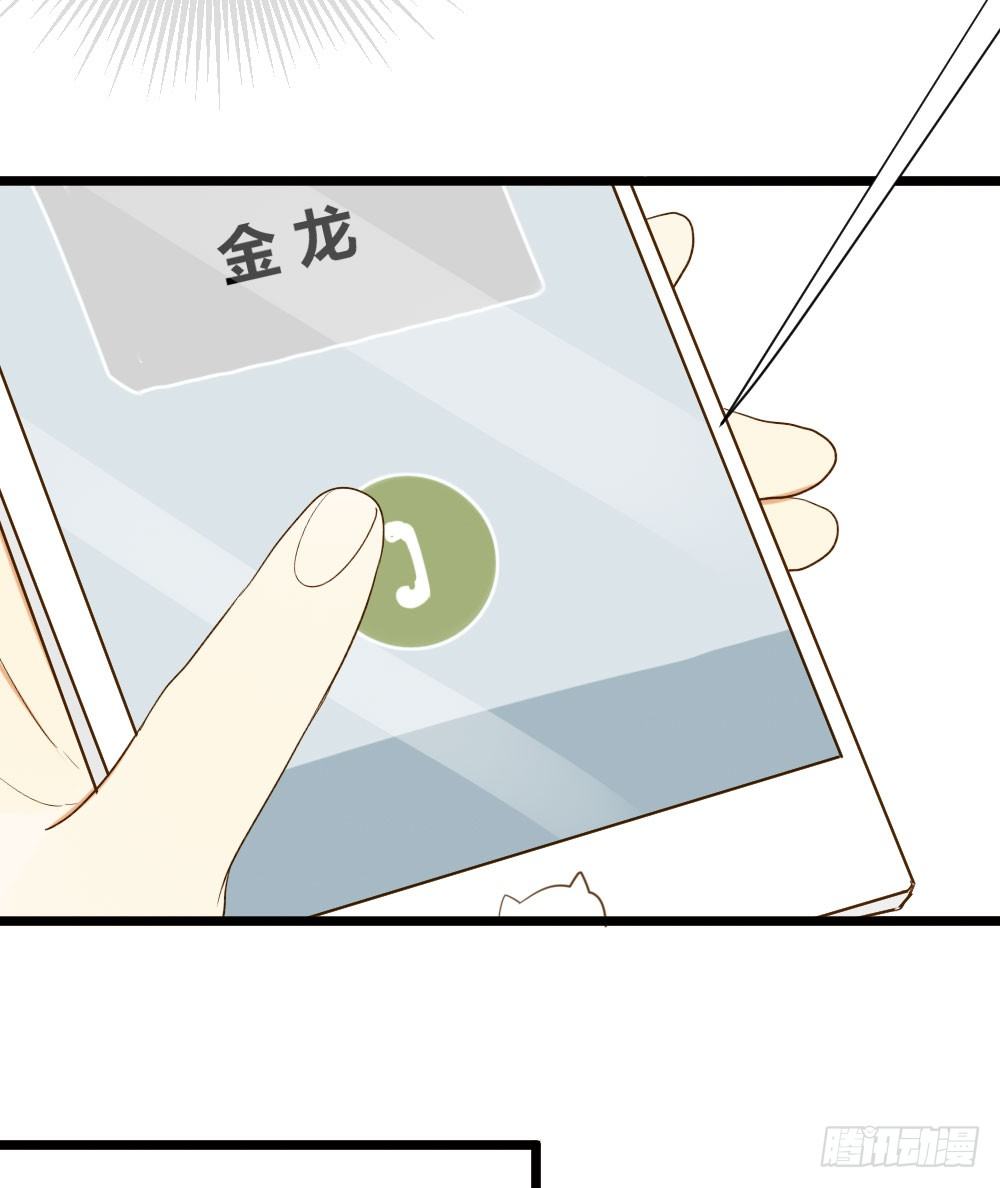 守护翻龙11