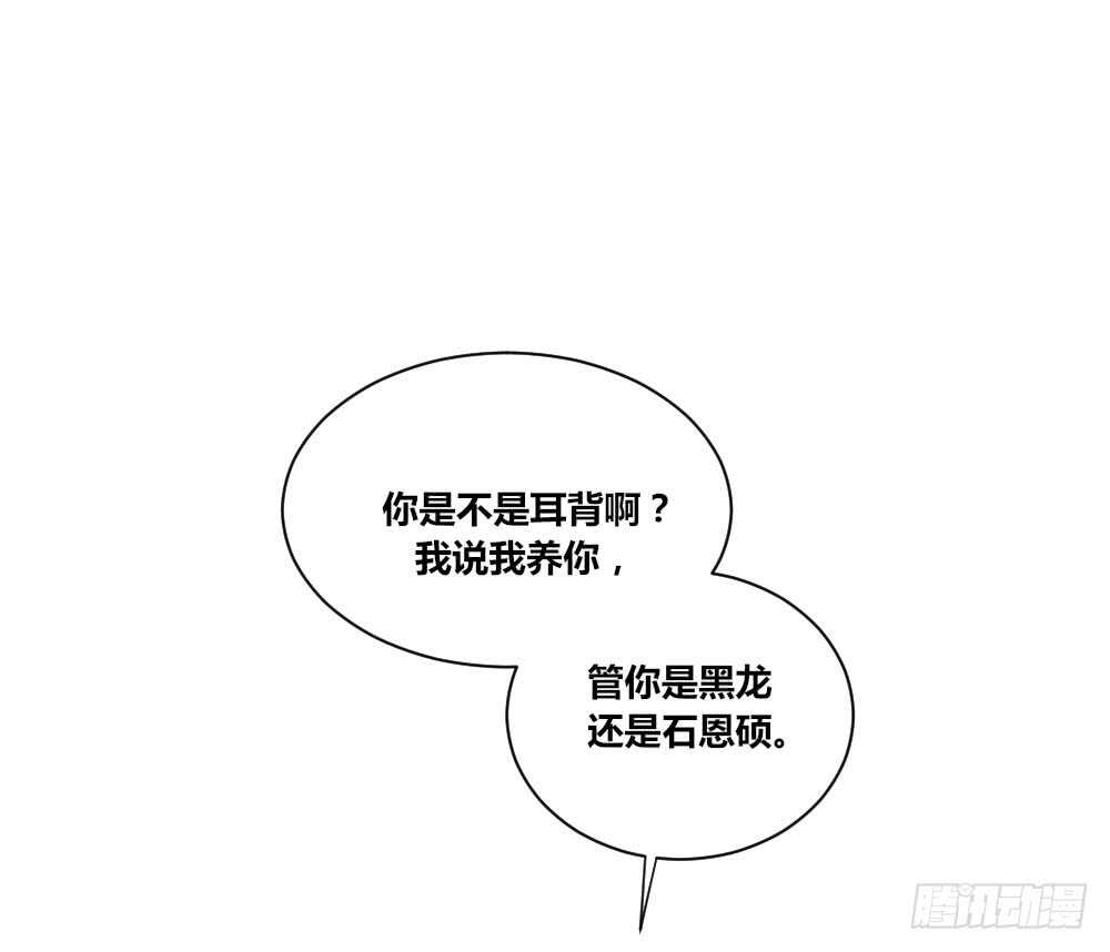 傻瓜，让我养你吧36