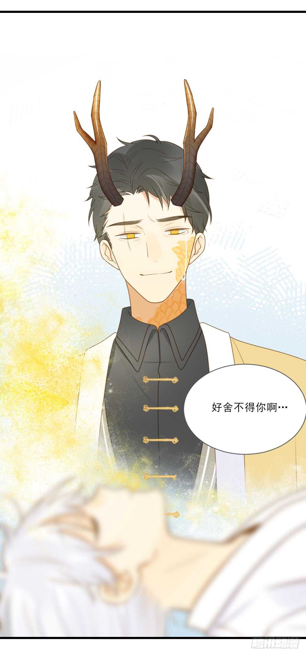 永远的陪伴38