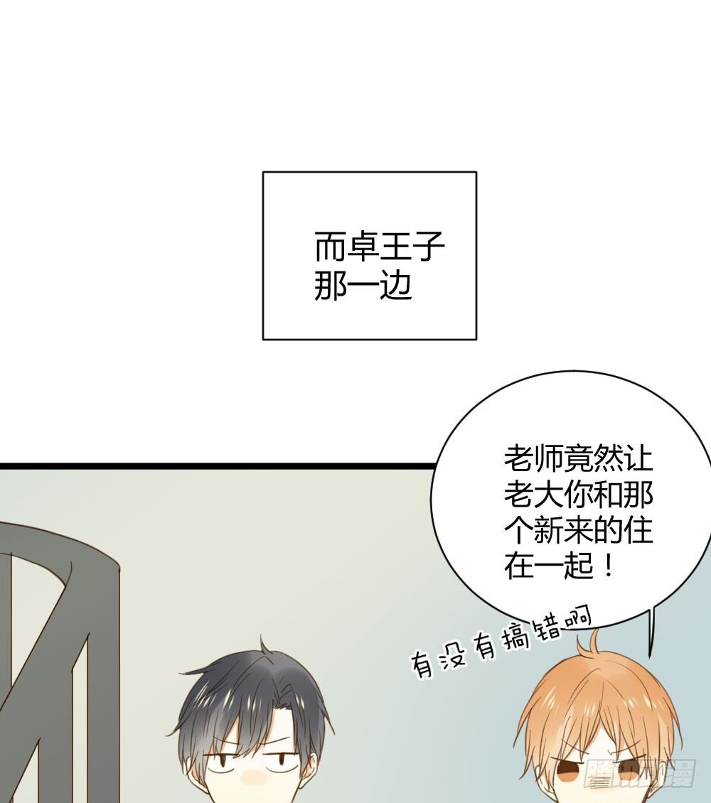 桌咚试试吗？24