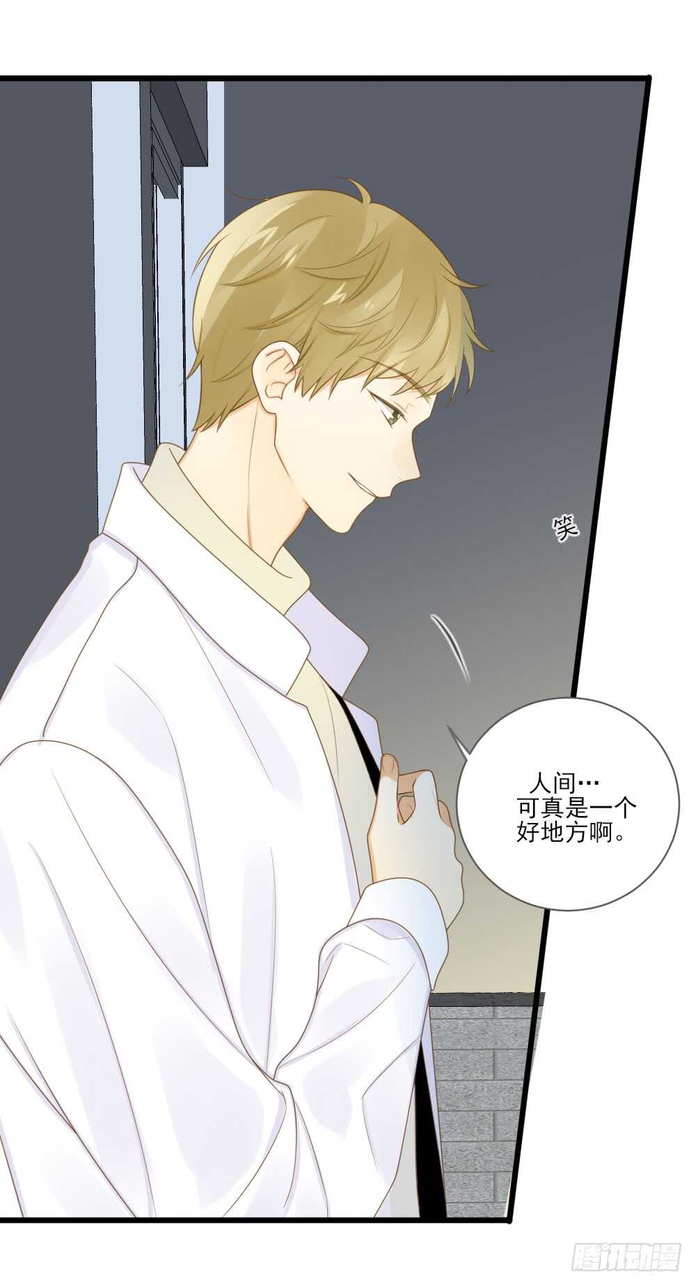 神龙铁三角16