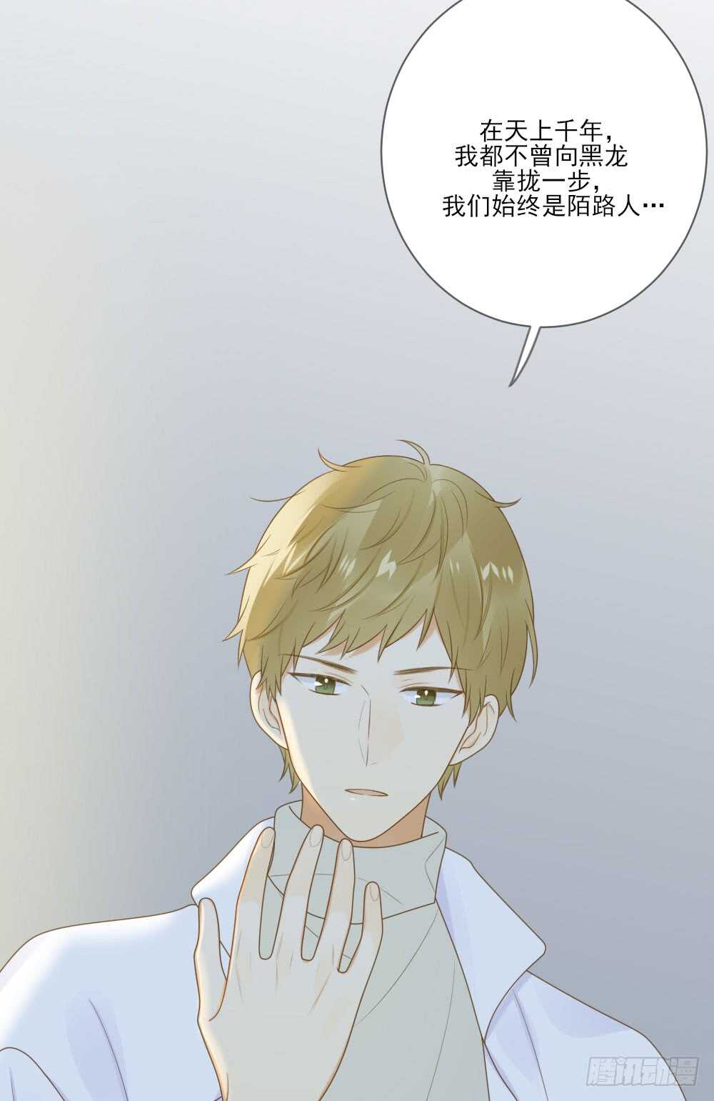 神龙铁三角13
