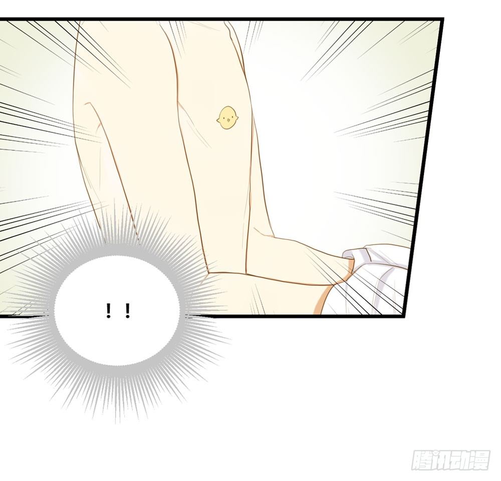 2只新神龙出现！40