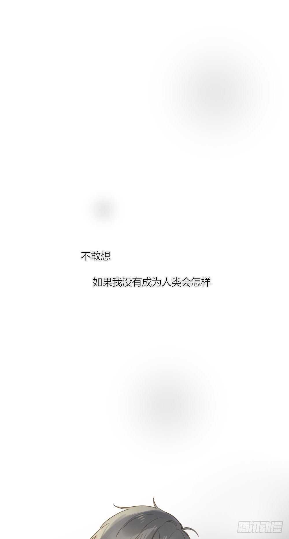 你的白衬衫...18