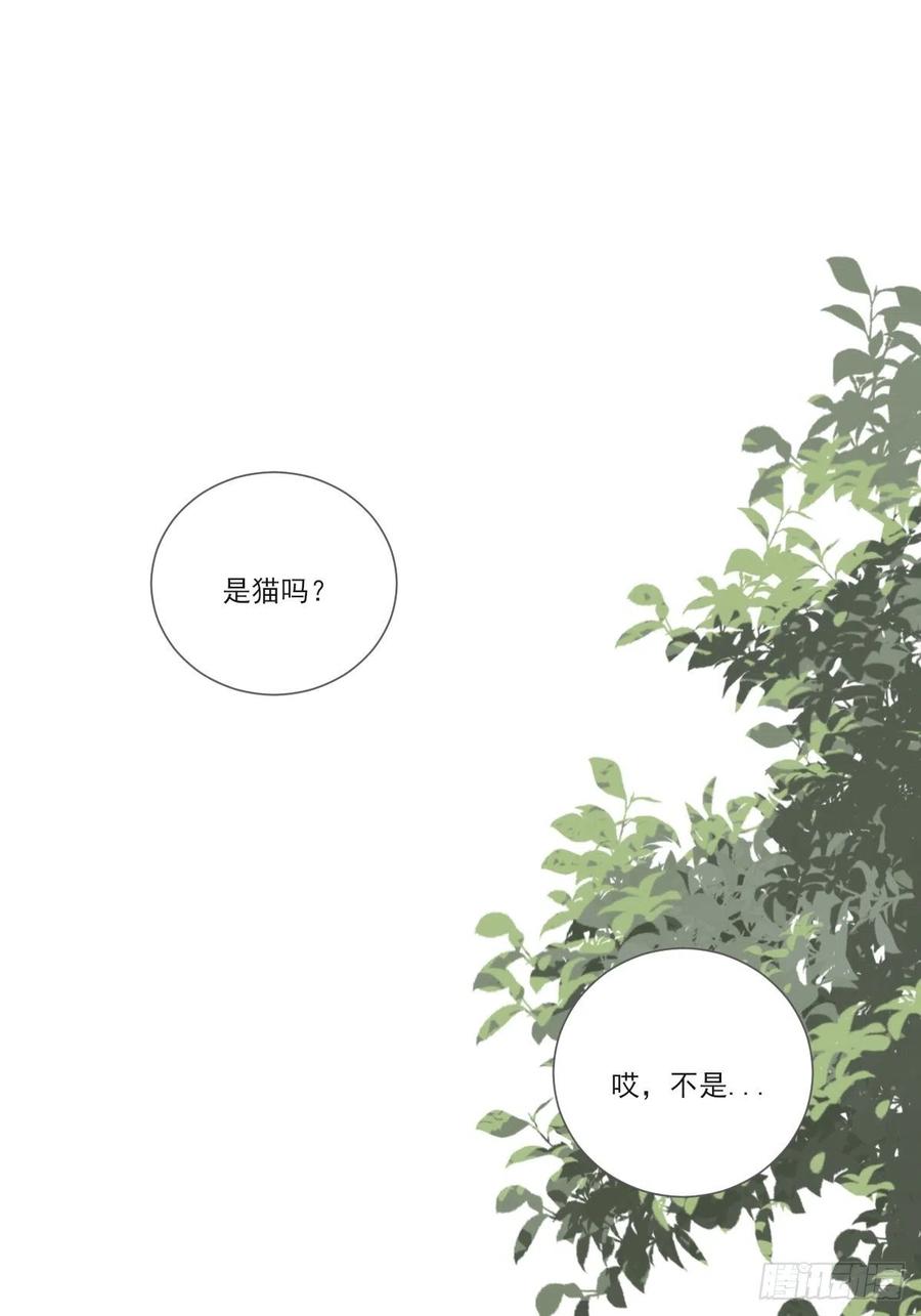 诞下龙种了！55
