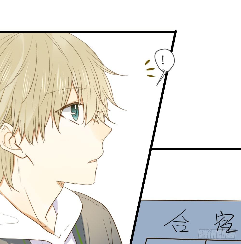 桌咚试试吗？5