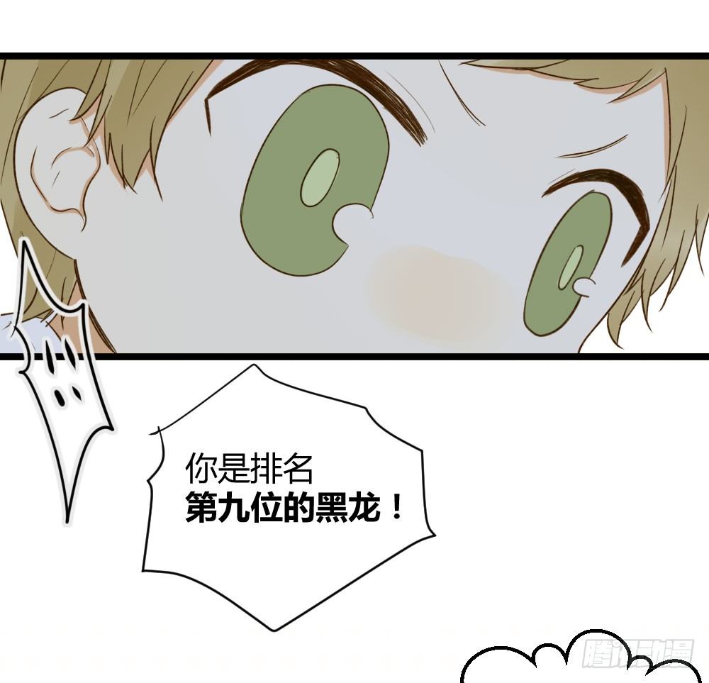 黑龙和金龙的约定13