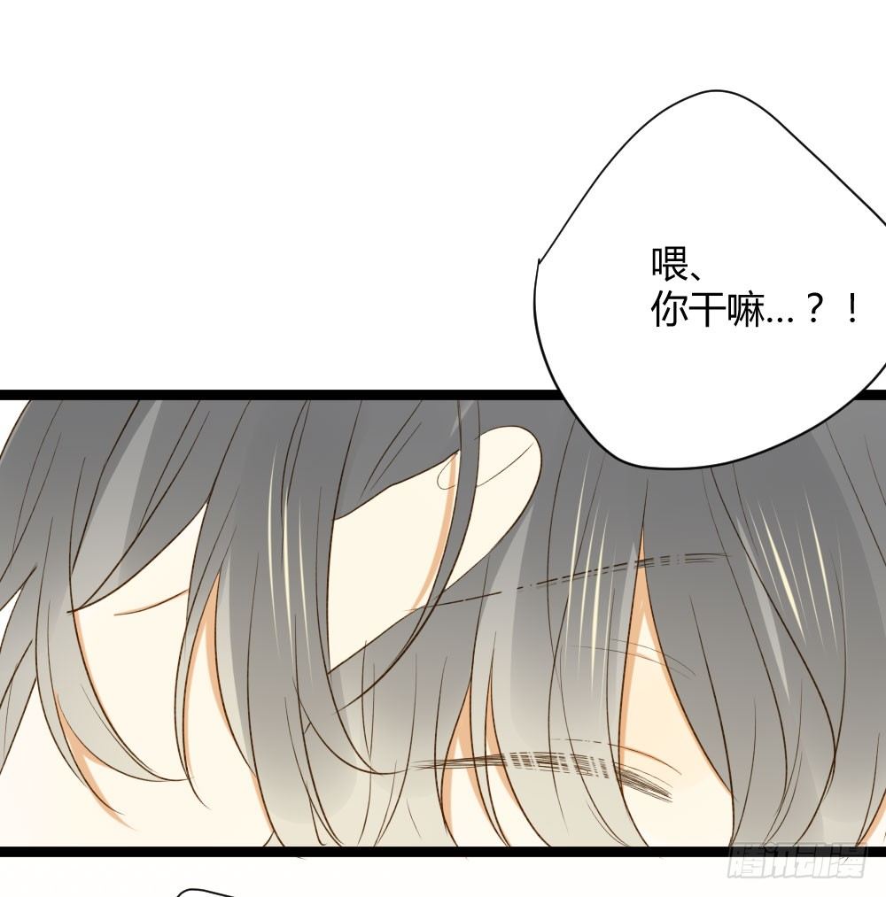 秘密5