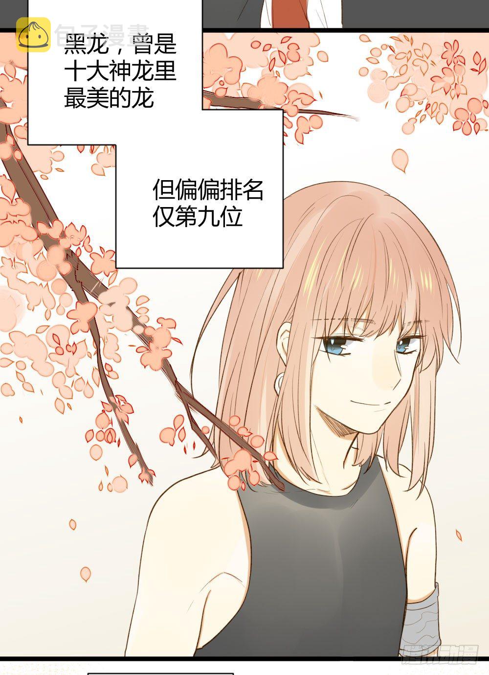 黑龙和金龙的约定17