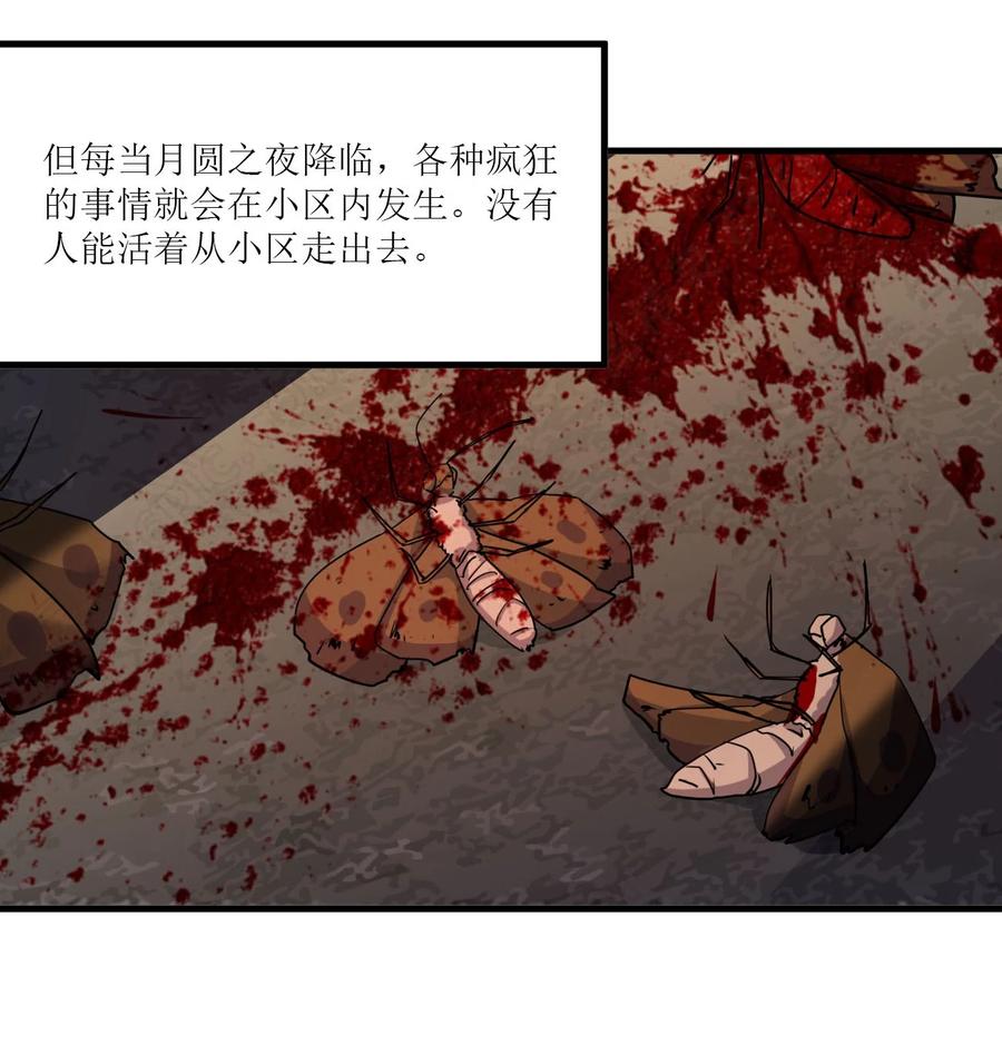 042 诱导8