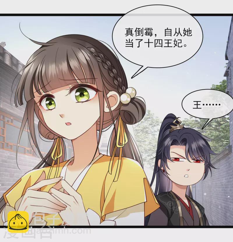 第100话王妃？！22