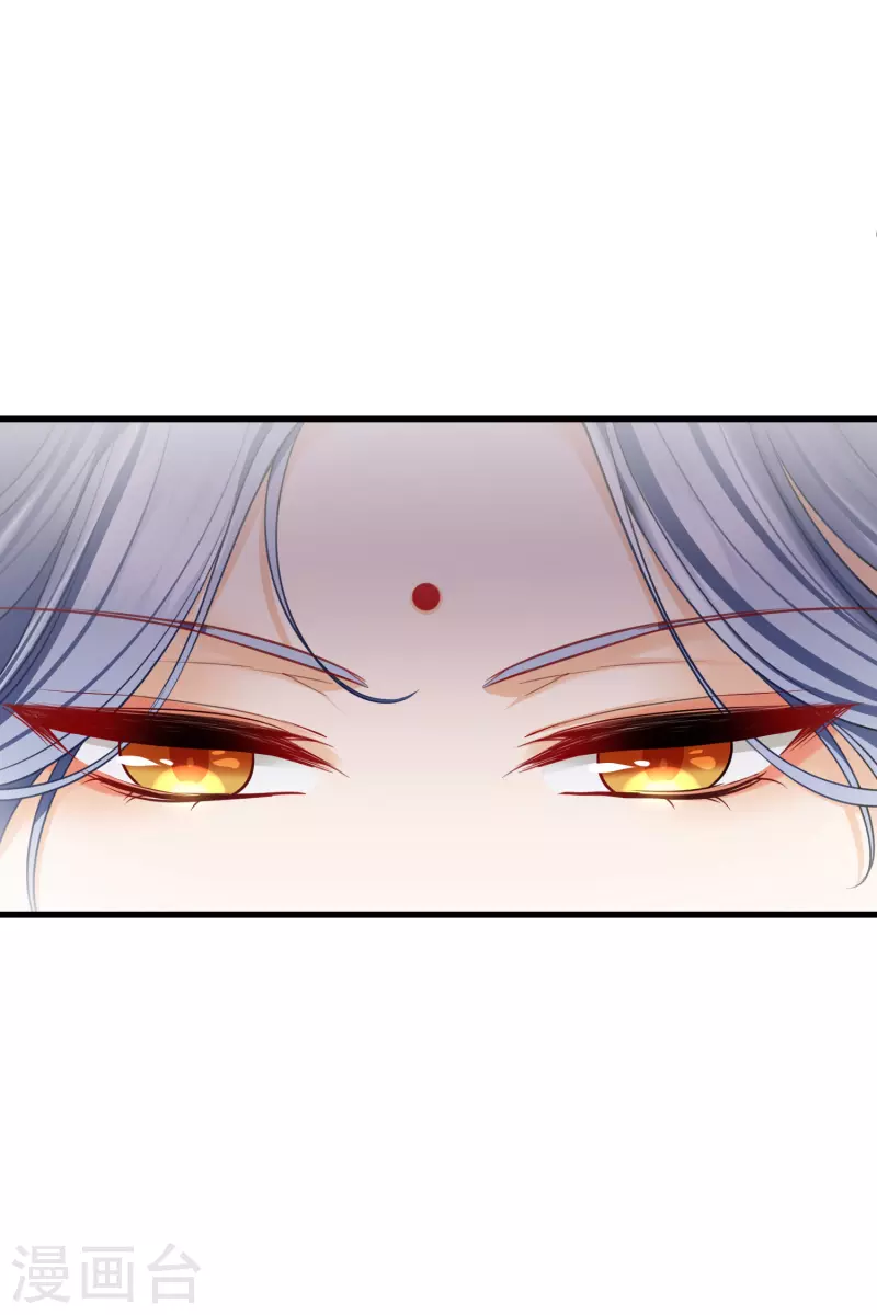第40话 苏苏观察日记18