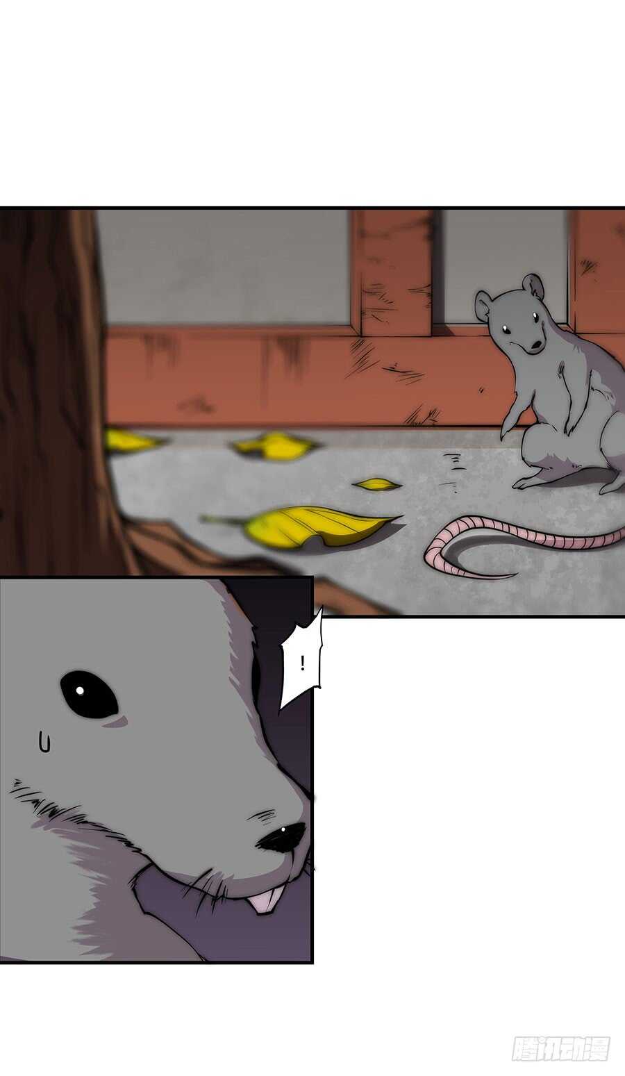 第78回13