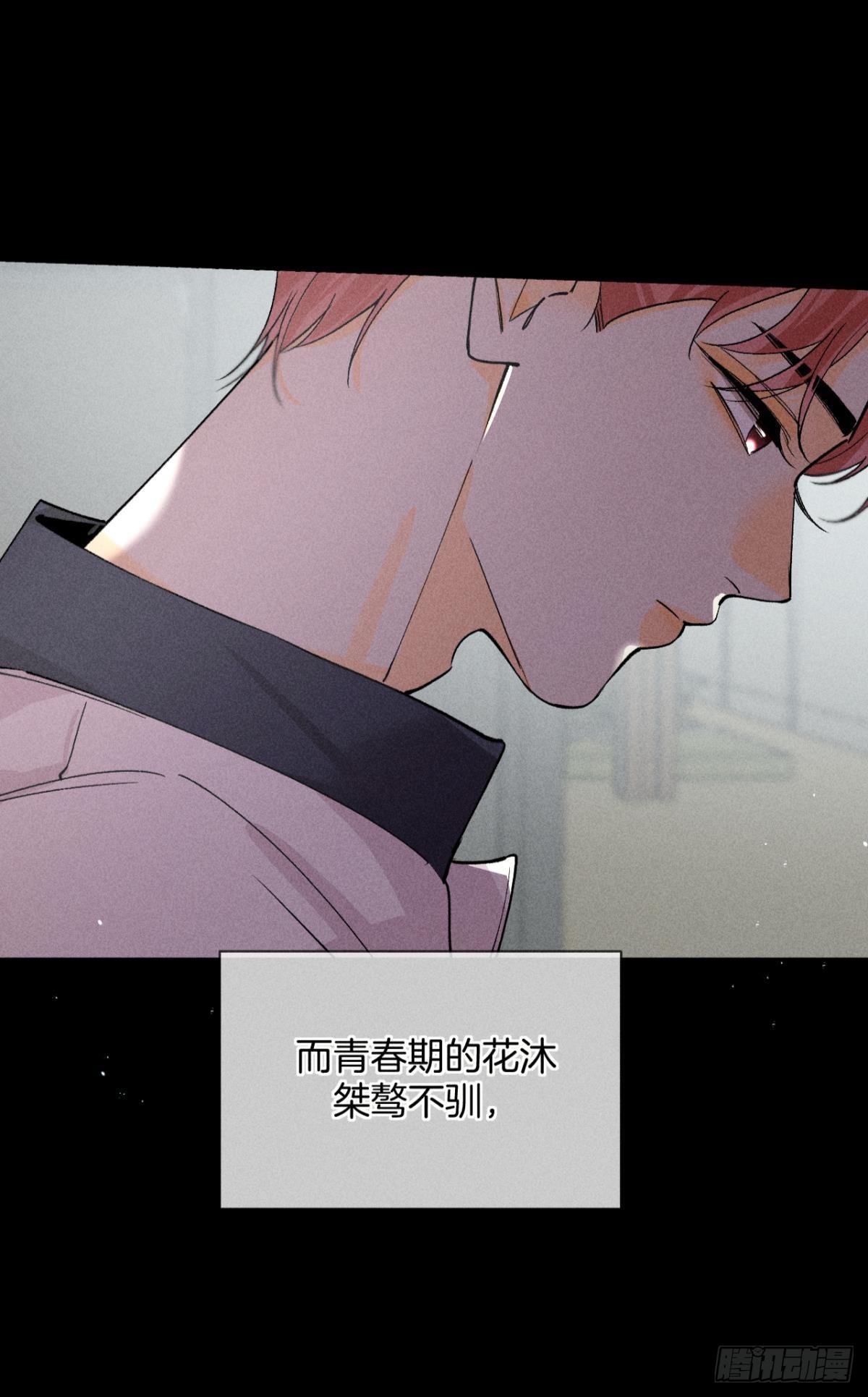 前世隐藏记忆9