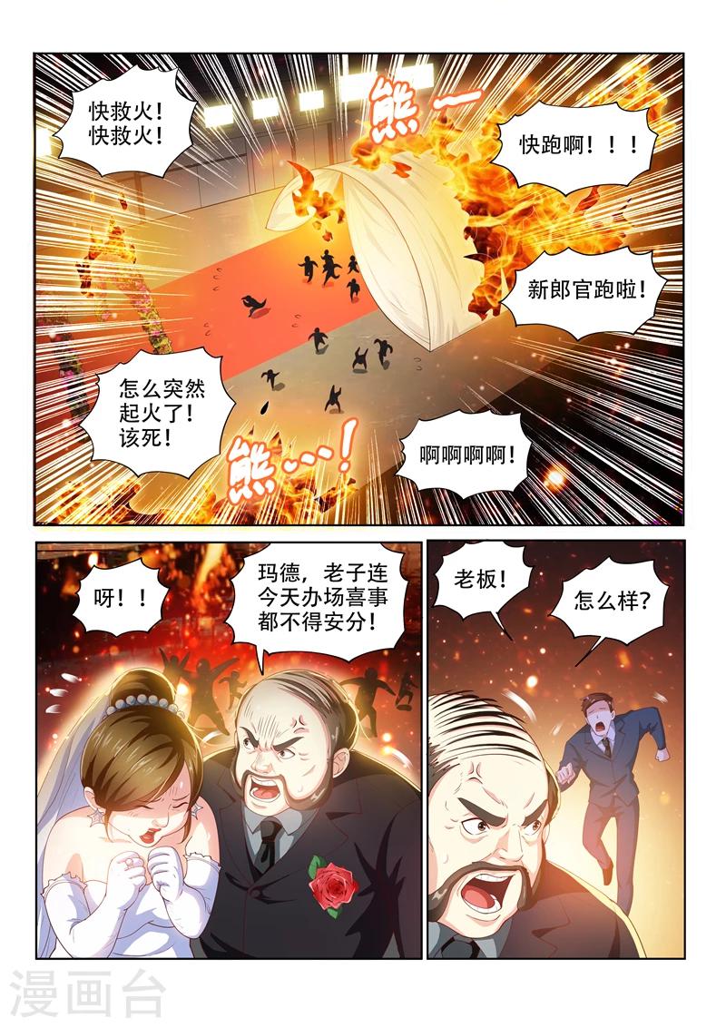 第103话 玉蟾蜍1
