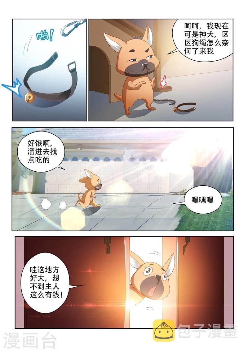 第70话 我的狗价值500万2