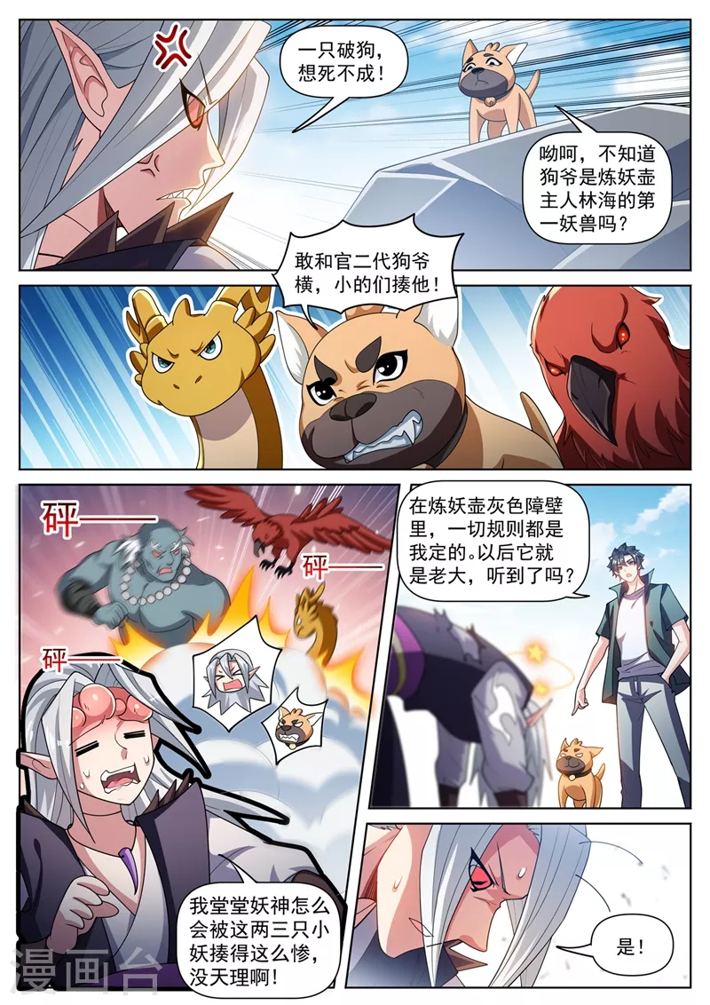 第491话 下一站，熊国4