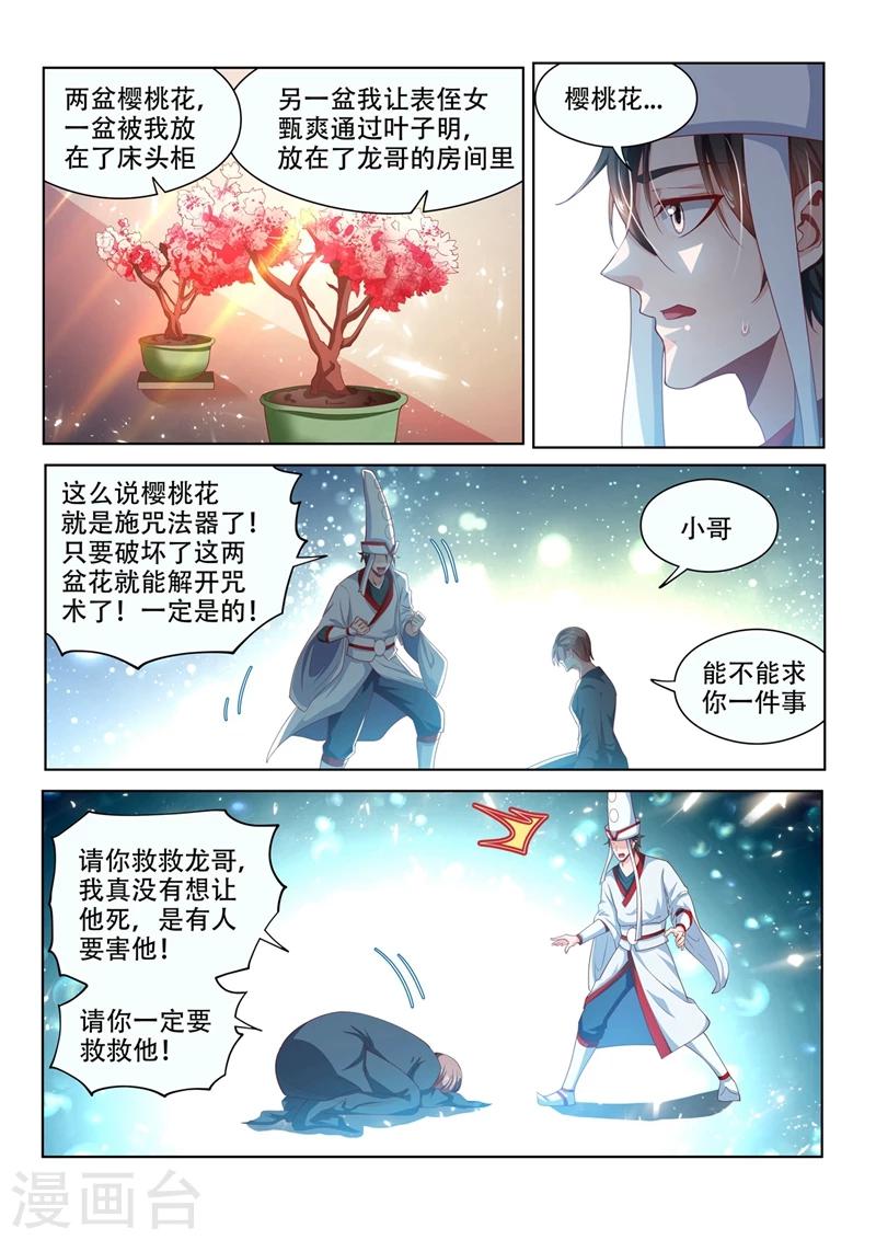 第97话 两盆樱桃花11