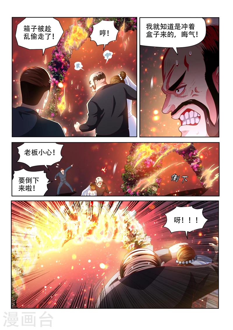 第103话 玉蟾蜍2