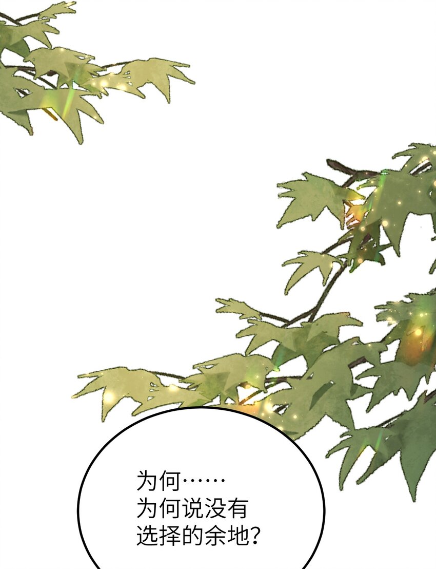 017 本王选的是他36