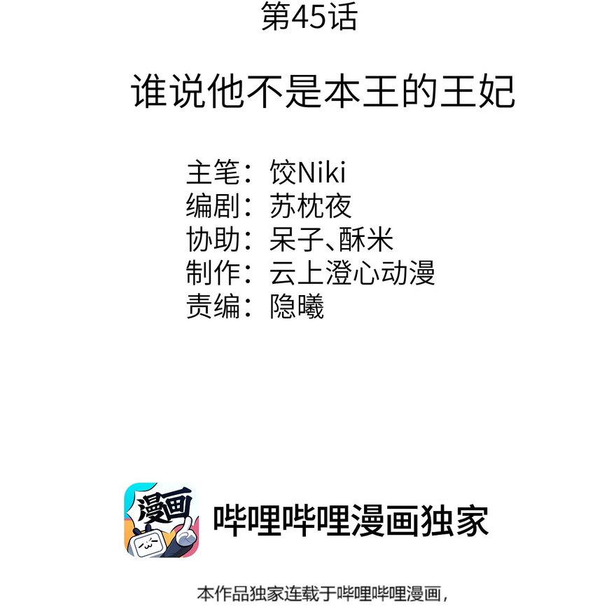 045 谁说他不是本王的王妃1