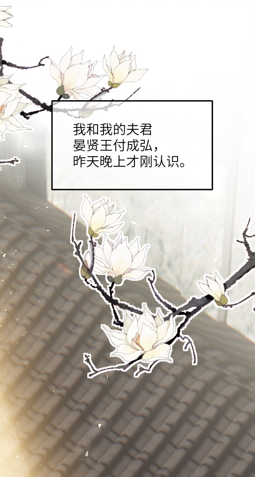 001 王妃实习第一天8