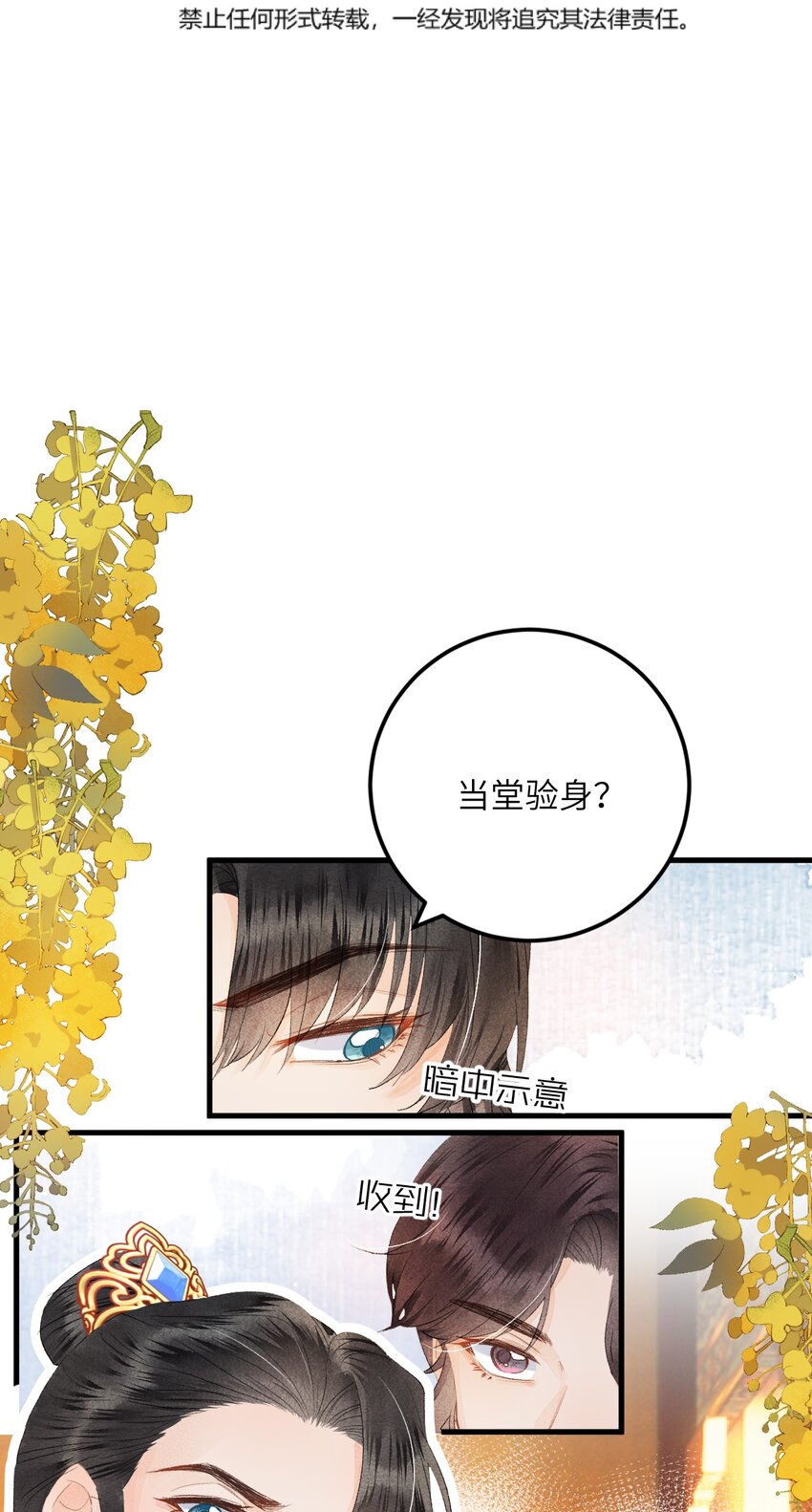 045 谁说他不是本王的王妃2