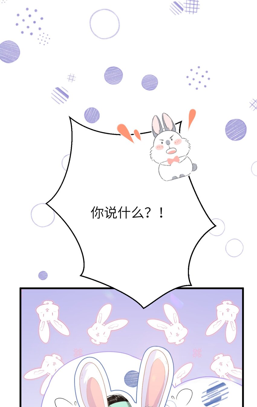017 本王选的是他14