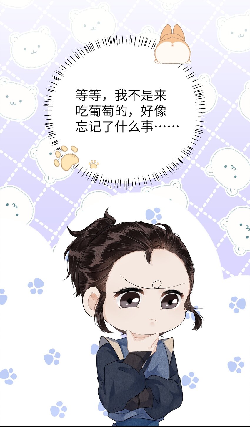 016 小仓鼠驯养计划38