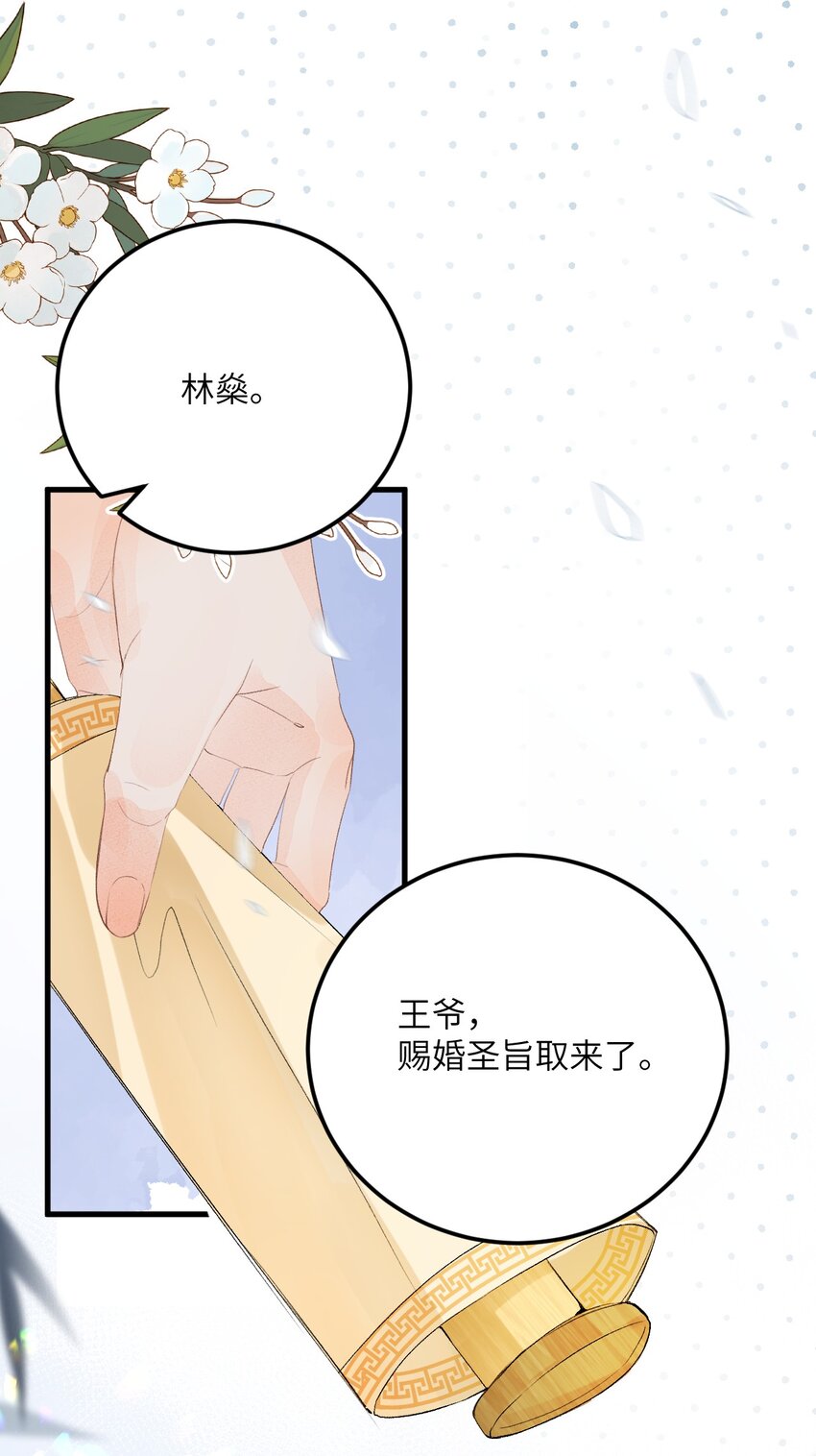 045 谁说他不是本王的王妃27