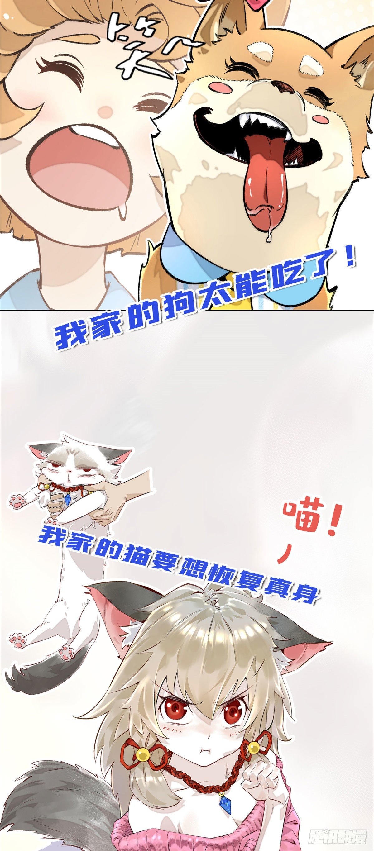 公告1
