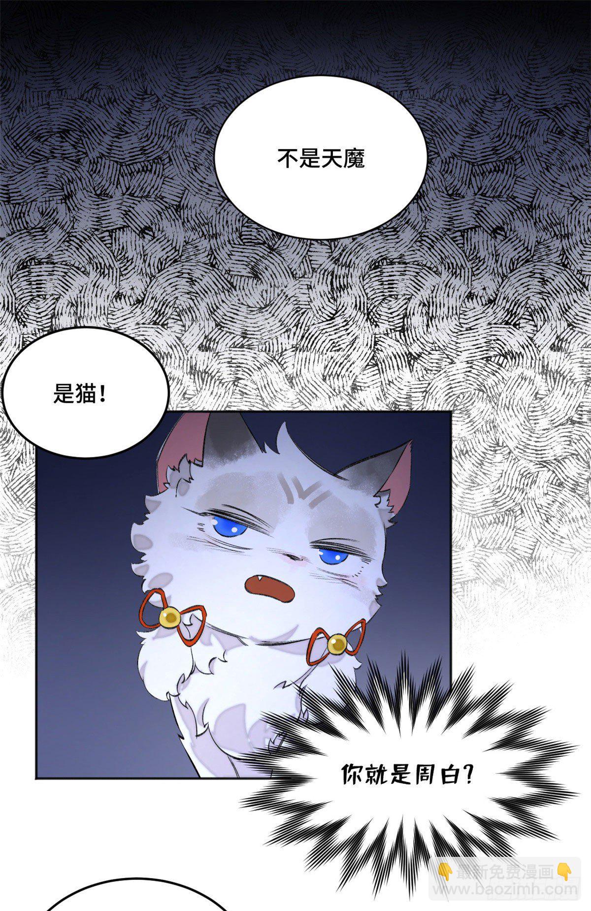 05 怪猫本体1