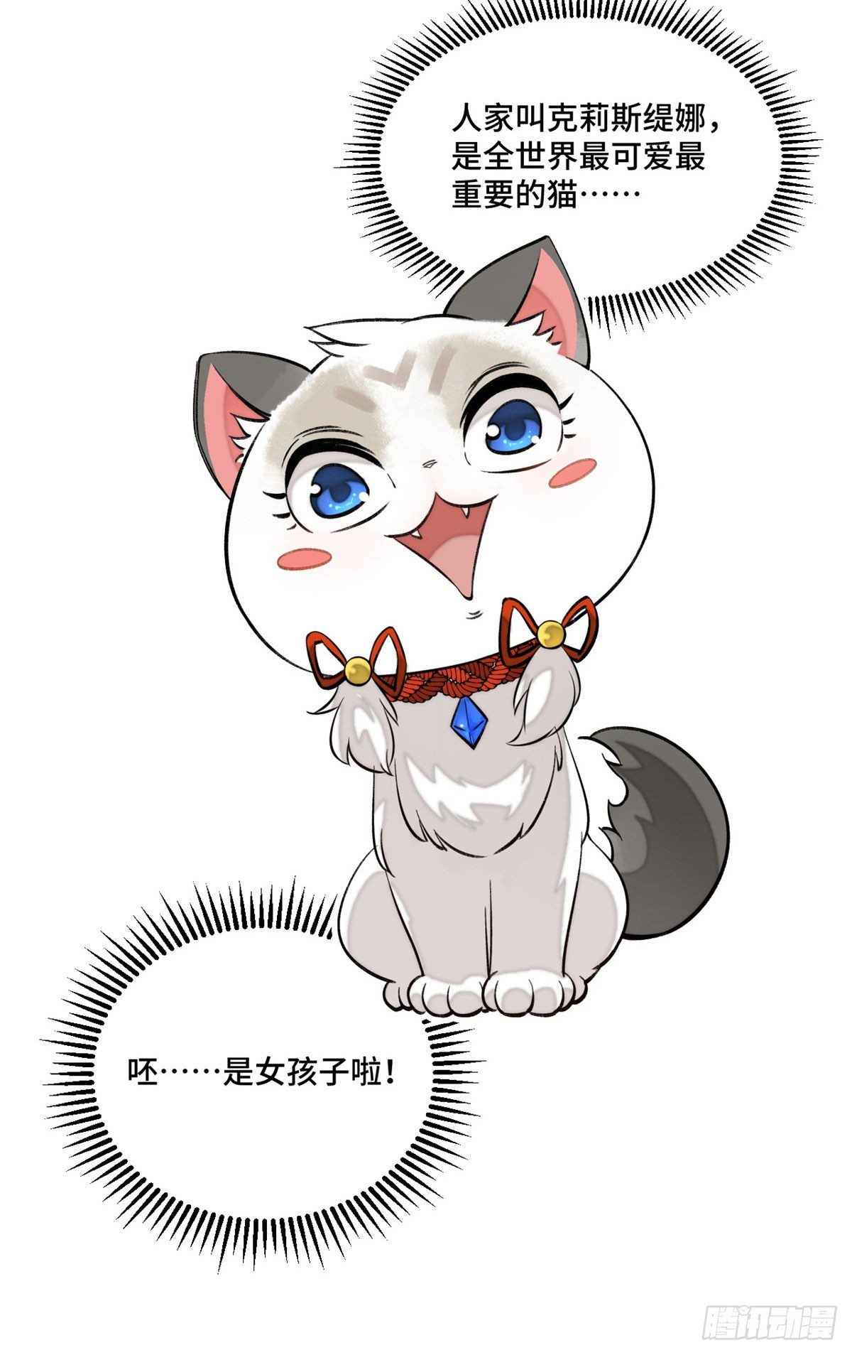 11 外挂系统再度上线4
