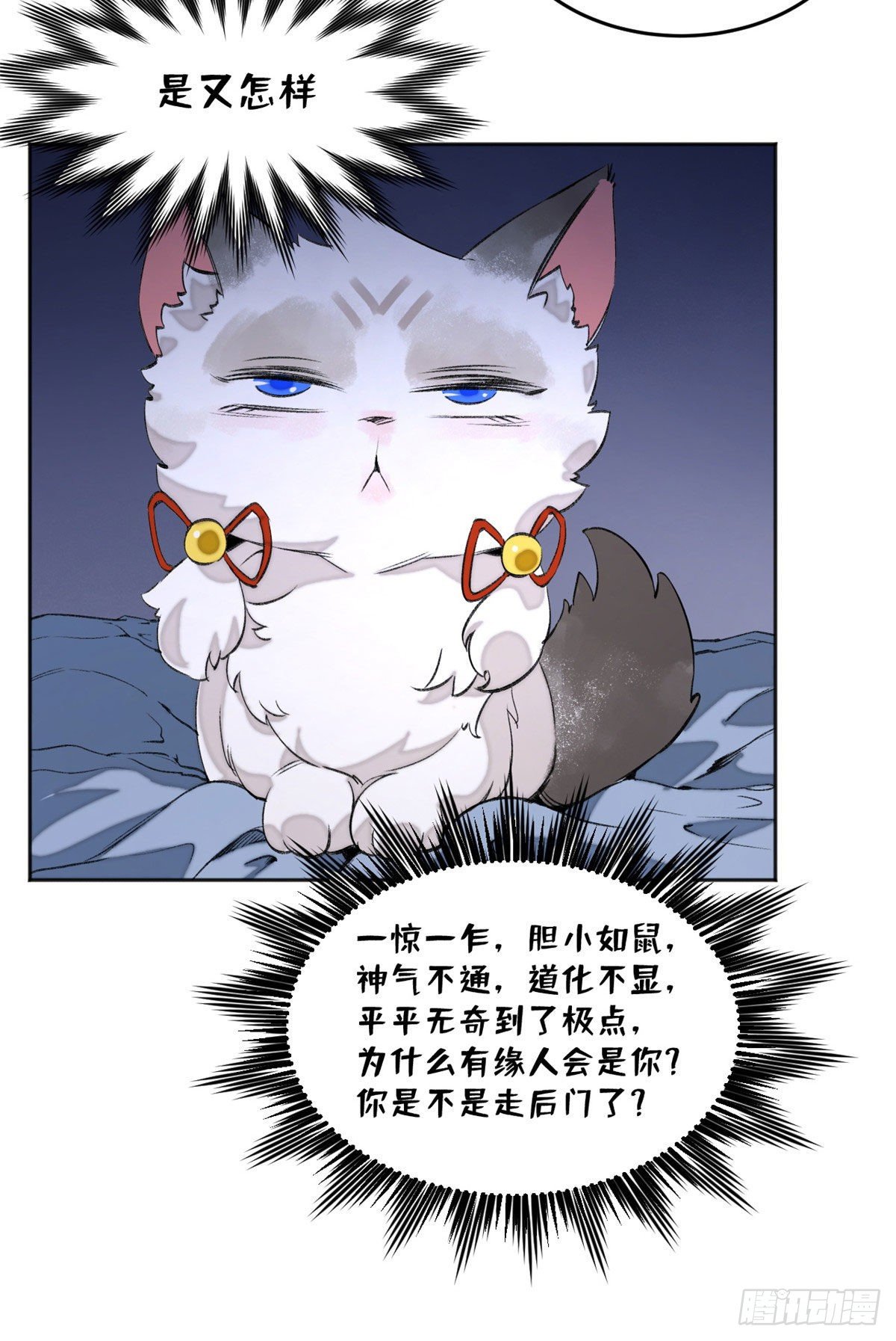 05 怪猫本体3