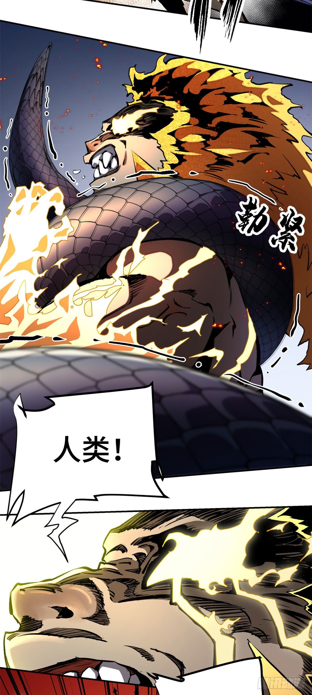 17 牺牲17
