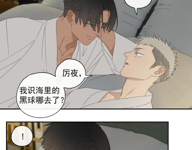 第38章 坦白27