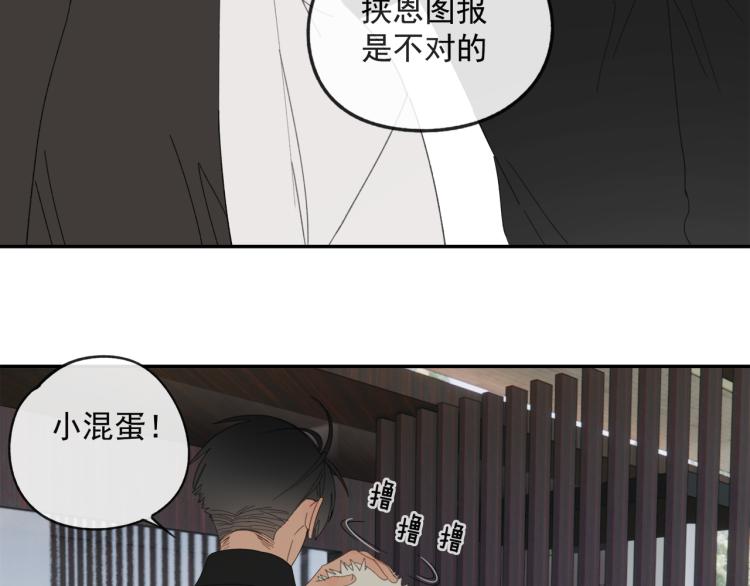 第40章 林子贺（修）11