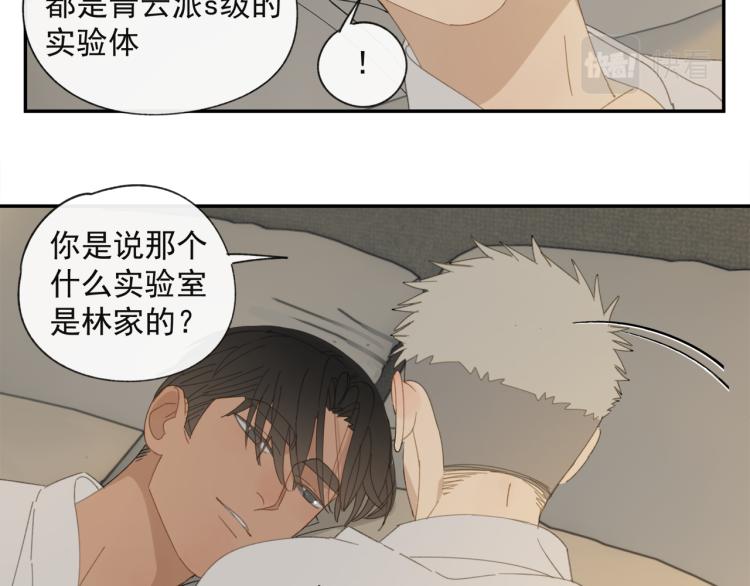 第38章 坦白10