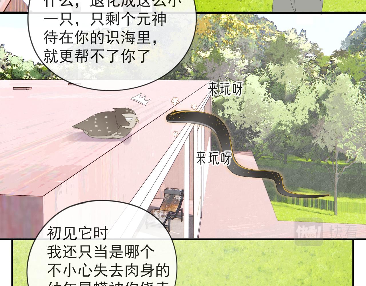 第54话 星神和夜神（上）38