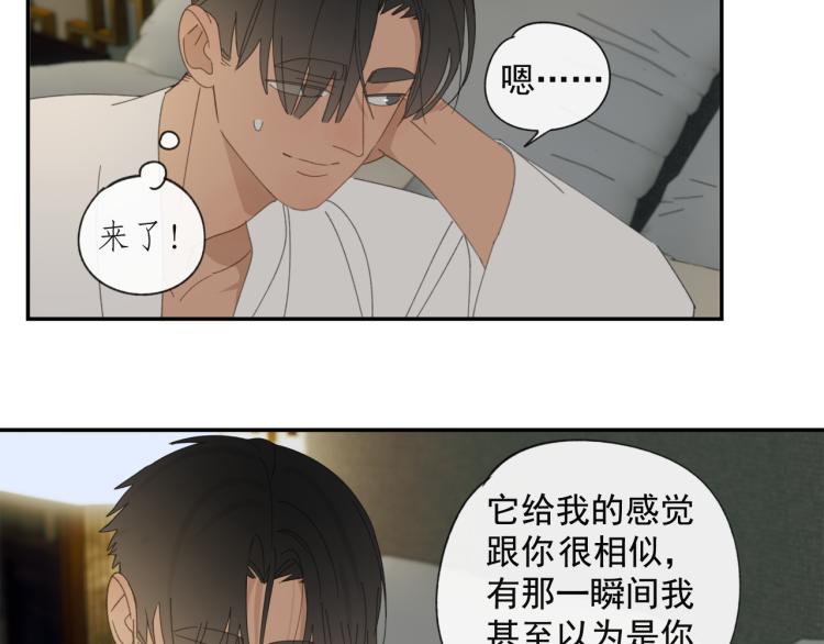 第38章 坦白28